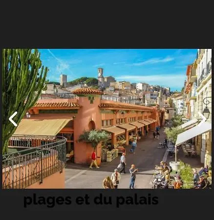 Chez Maya كان